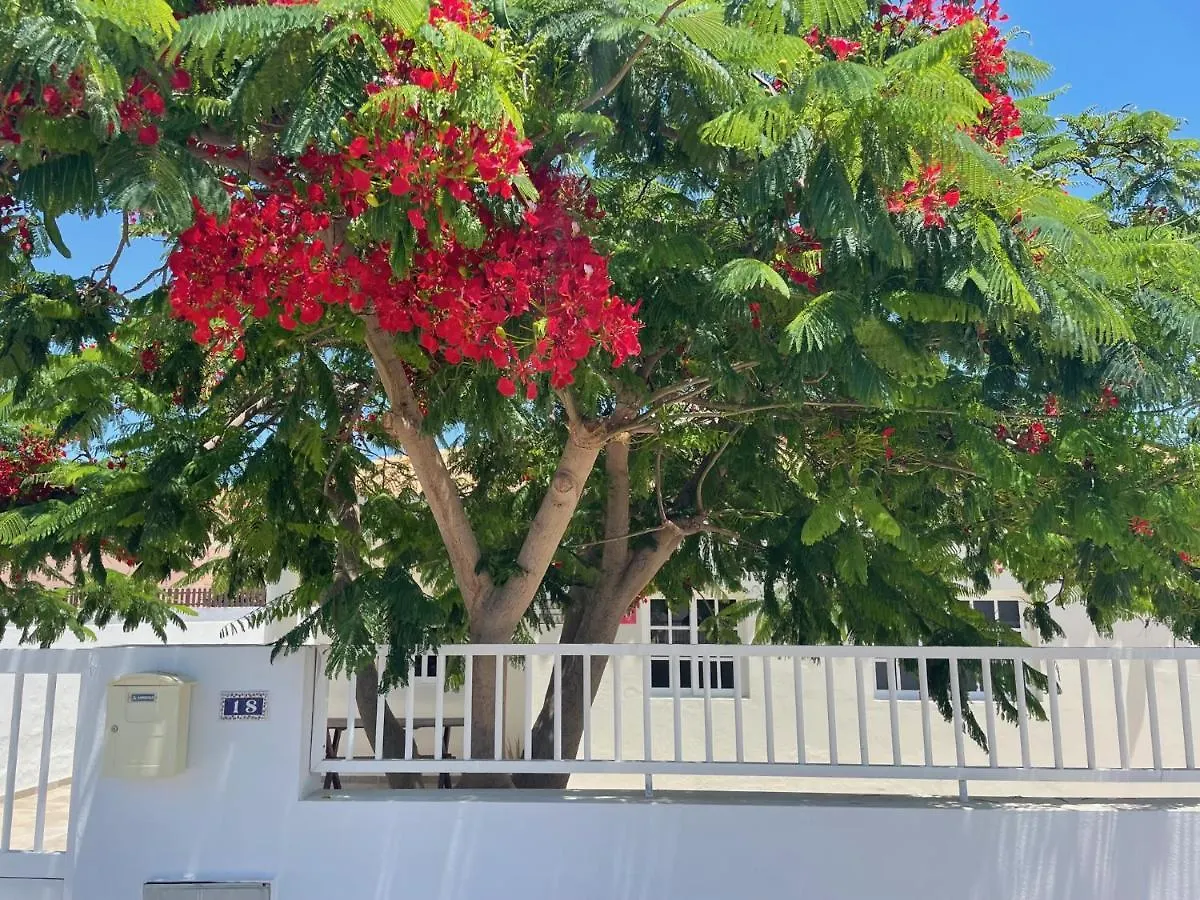Casa Enamorado Tarajalejo Spanien