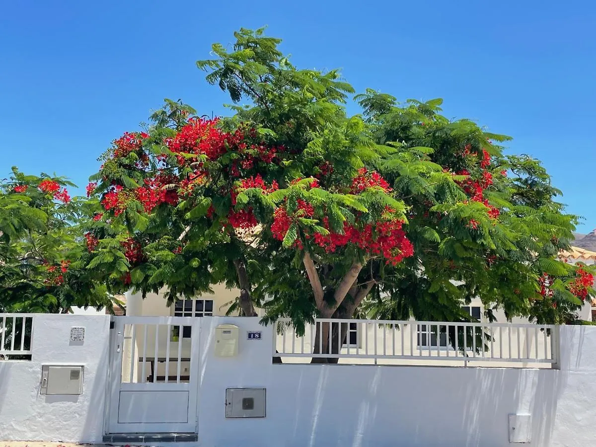 Casa Enamorado Tarajalejo Holiday home